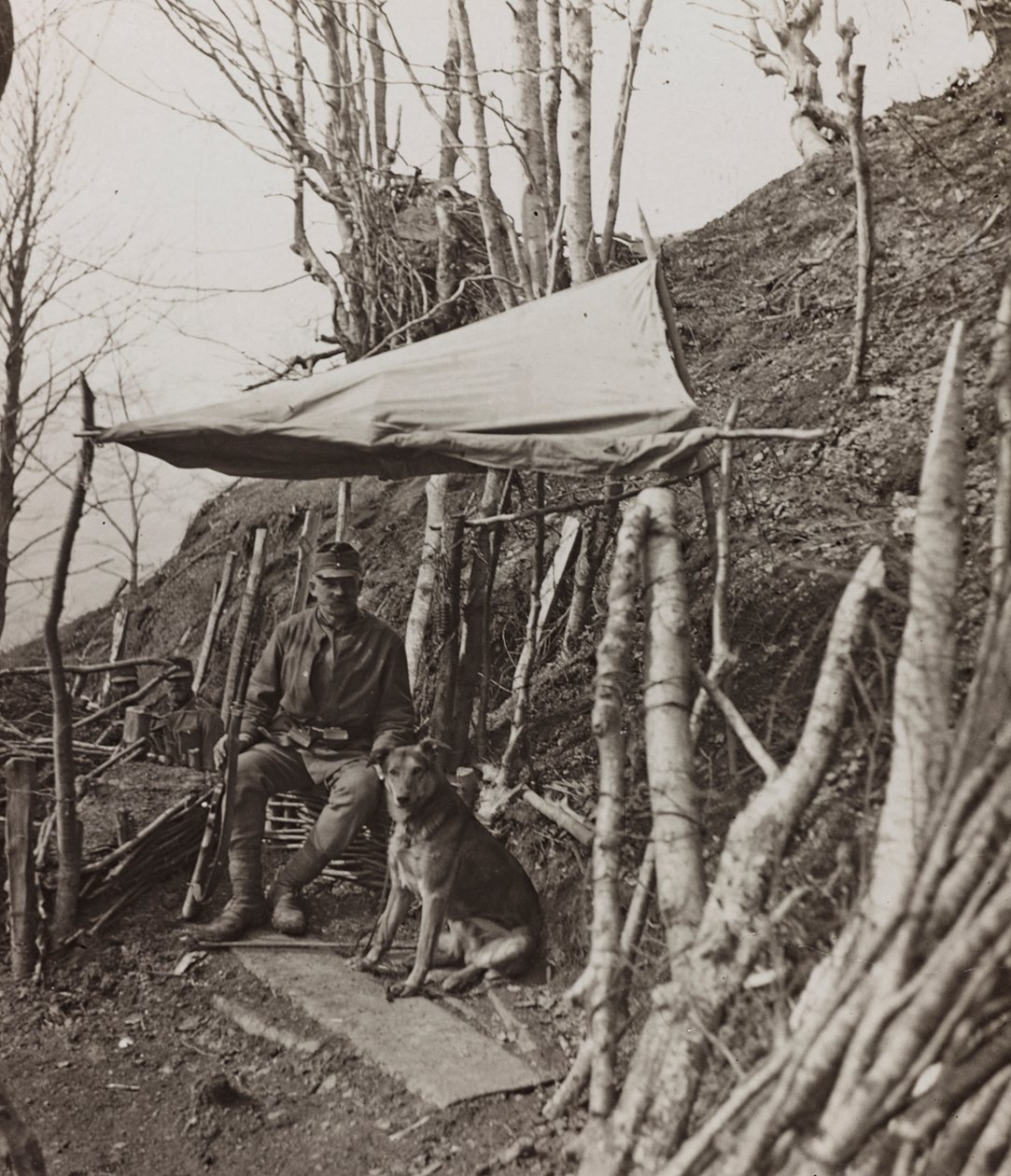 Album "Meine weltkriegs - Erinnerungen South-West Front (Carinthia, Italy, South Tyrol) 31/03/1915-12/11/1918 - Josef Zohles Wien": military dog under a tent by Josef Zohles