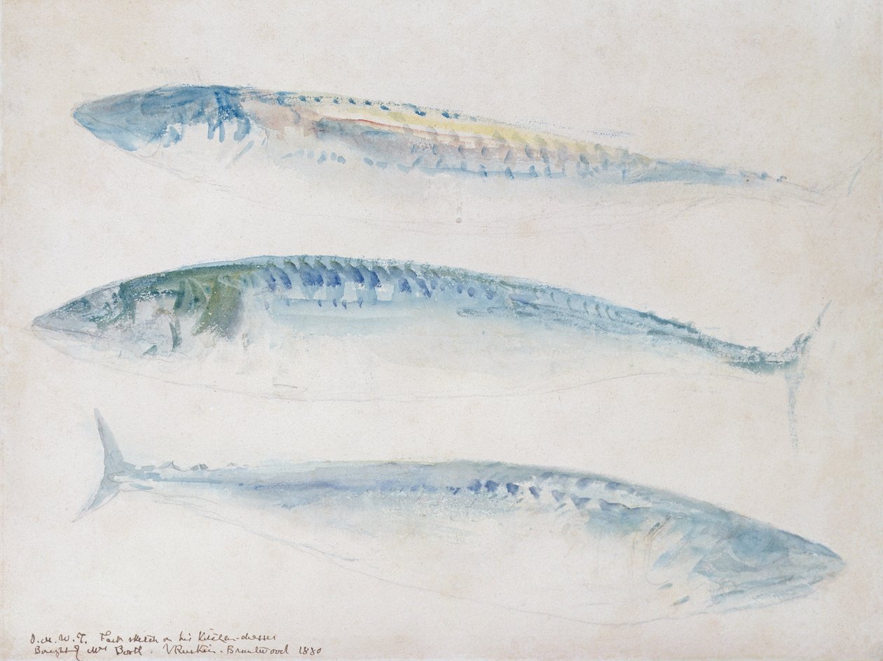 A Sketch of three Mackerel by Joseph Mallord William Turner