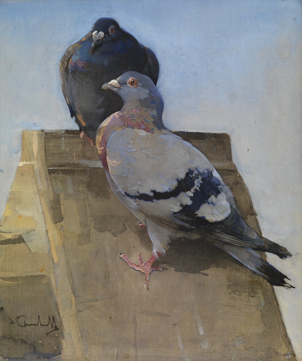 Pigeons on the Roof by Joseph Crawhall