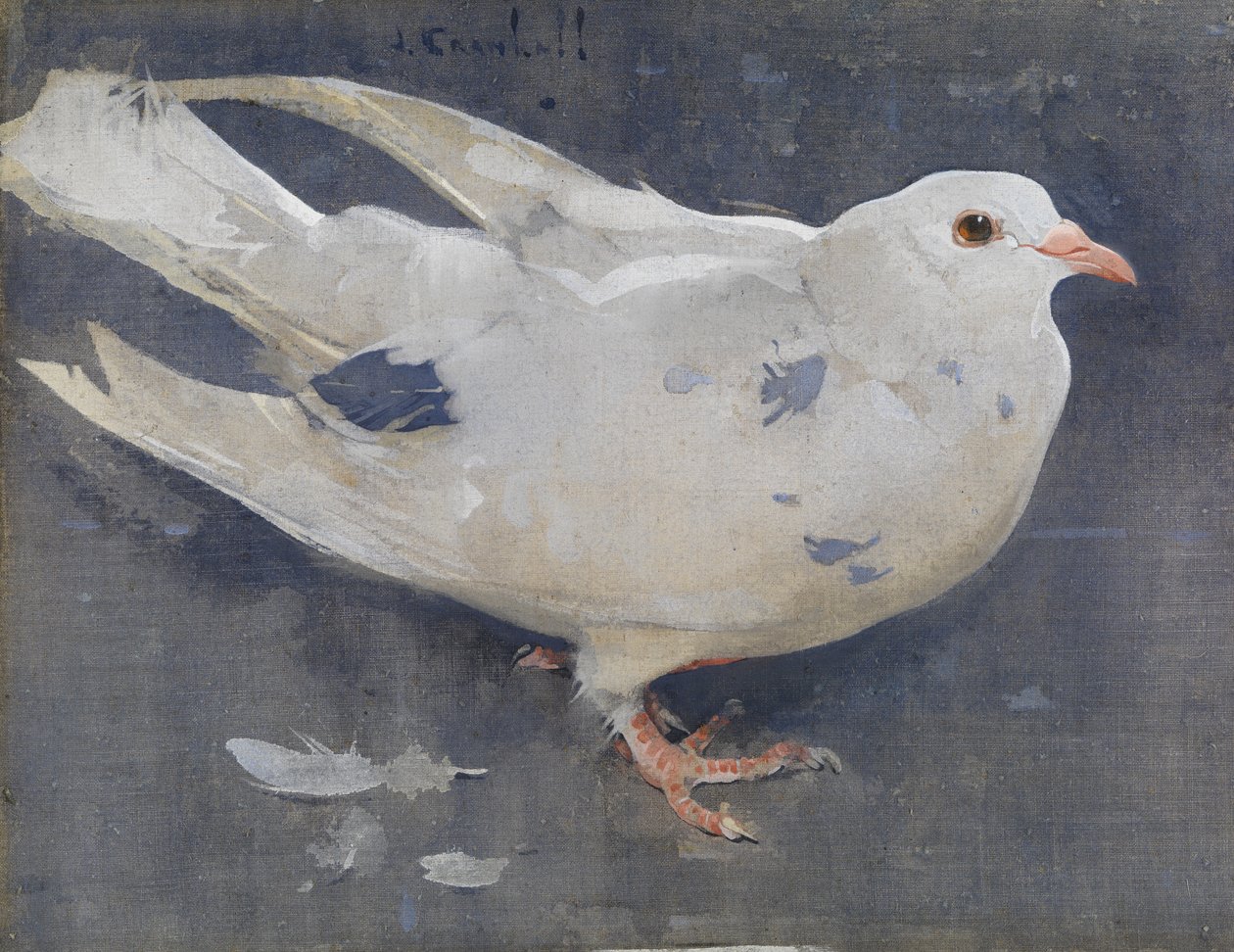 The Pigeon by Joseph Crawhall