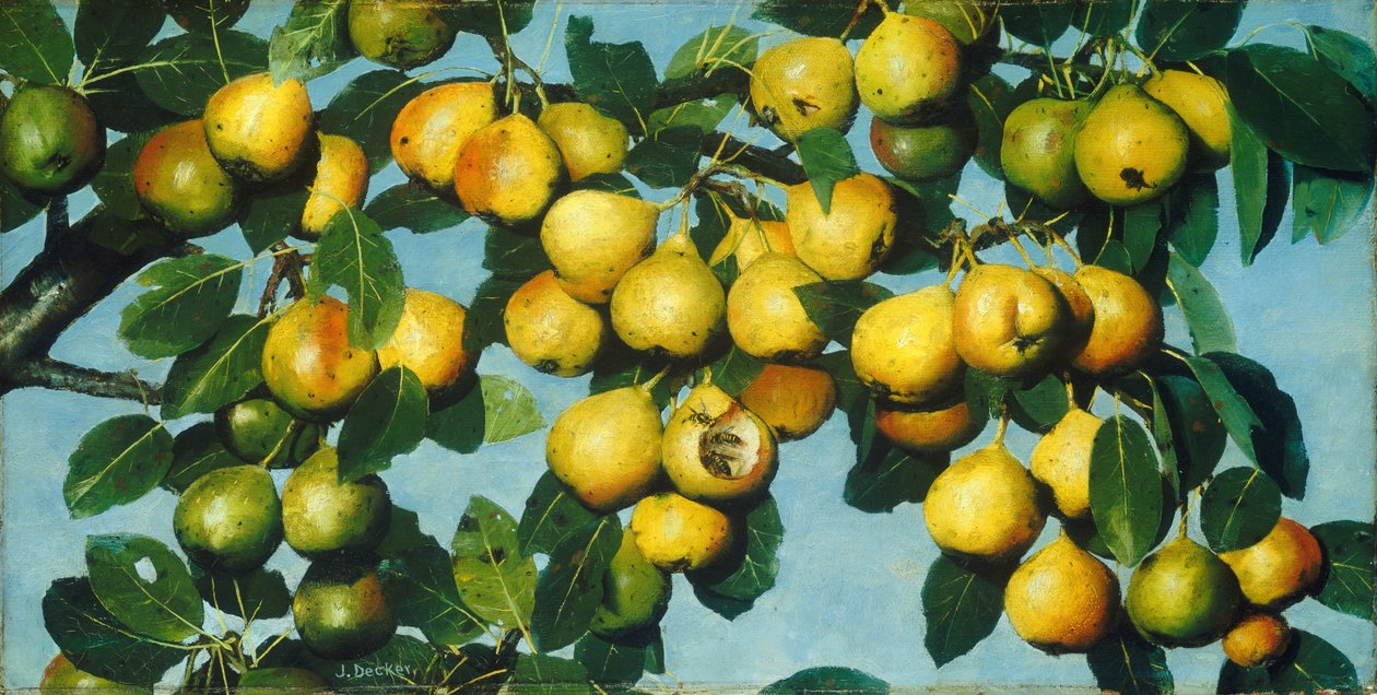 Ripening Pears by Joseph Decker