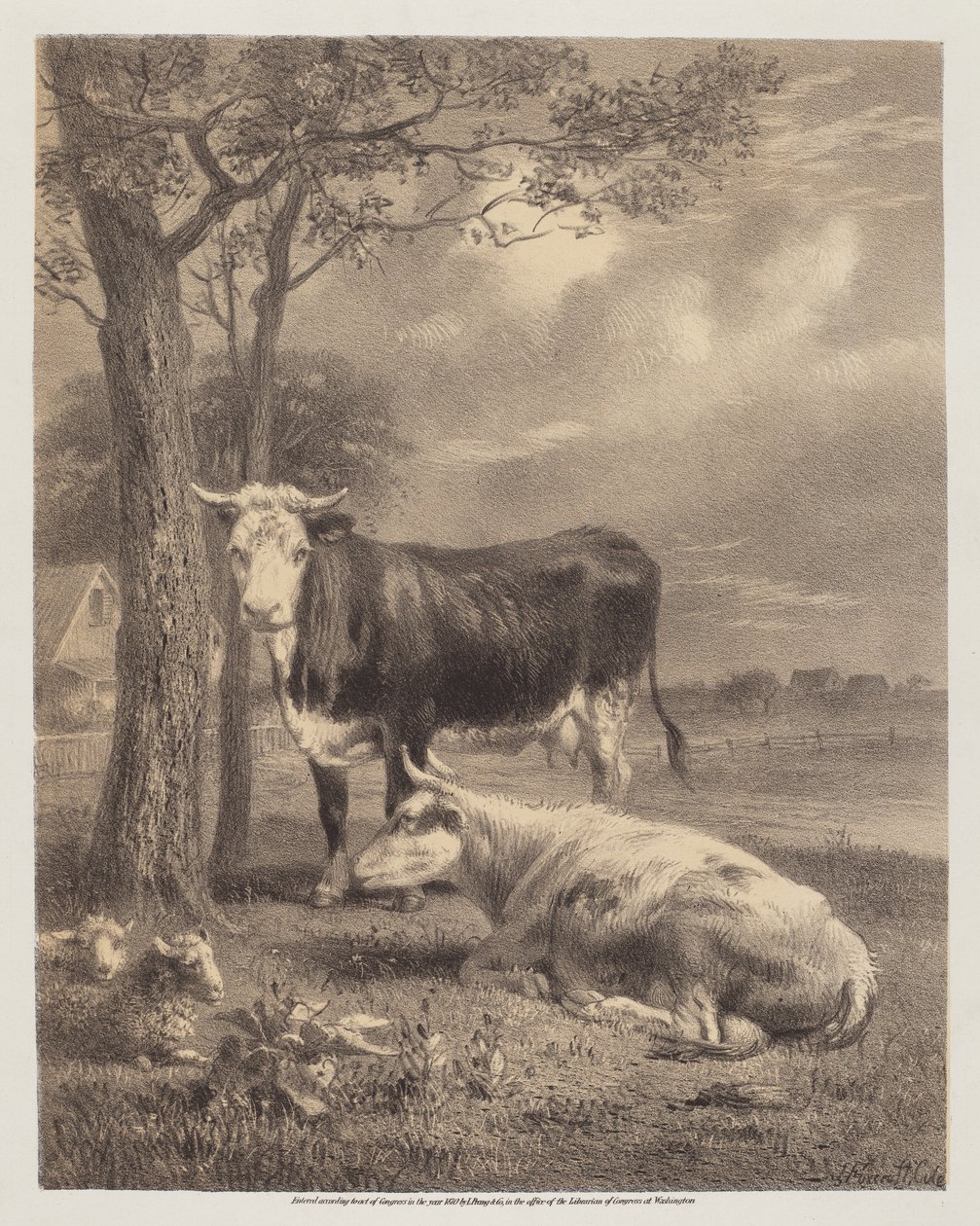 Cattle Ruminating by Joseph Foxcroft Cole