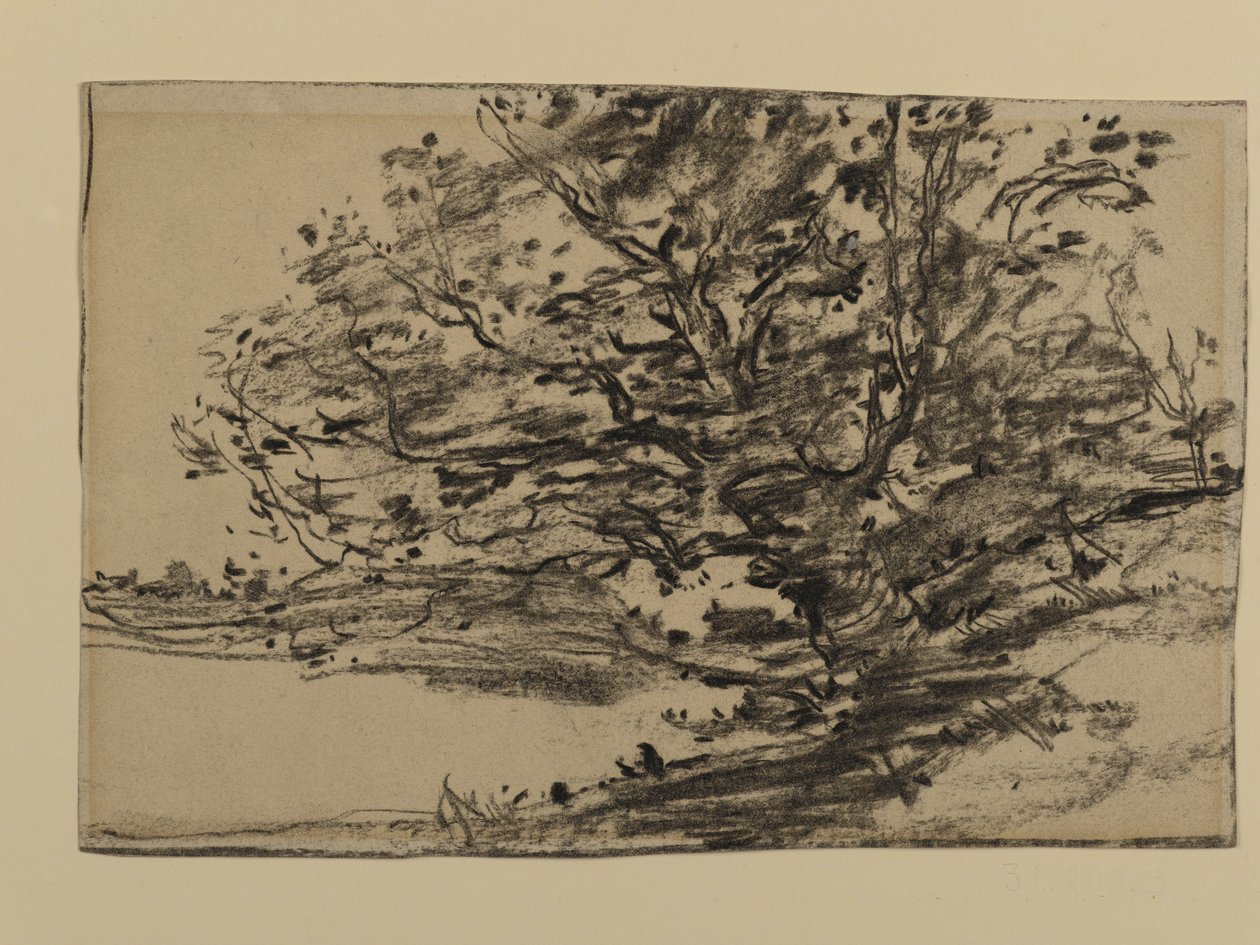 Study of Trees, 1870 by Joseph Frank Currier