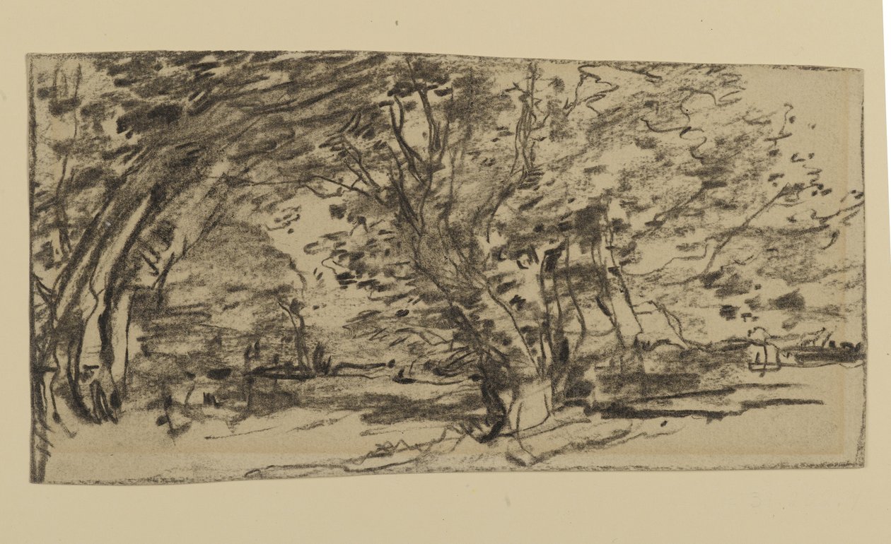 Study of Trees, 1870 by Joseph Frank Currier