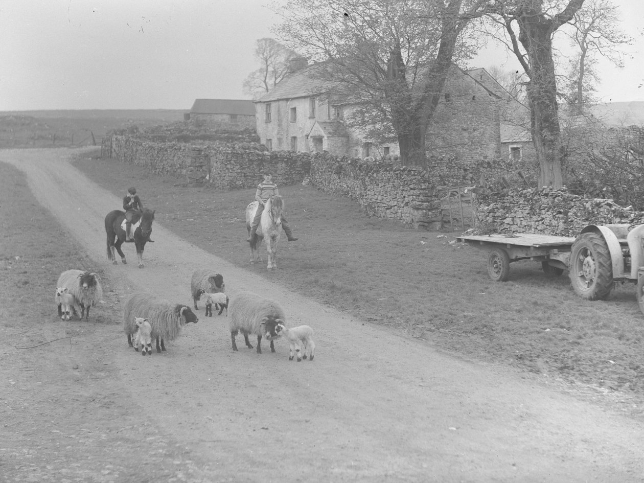 A view of sheep, lambs, two children on ponies, tractor, trailer, and building by Joseph Hardman