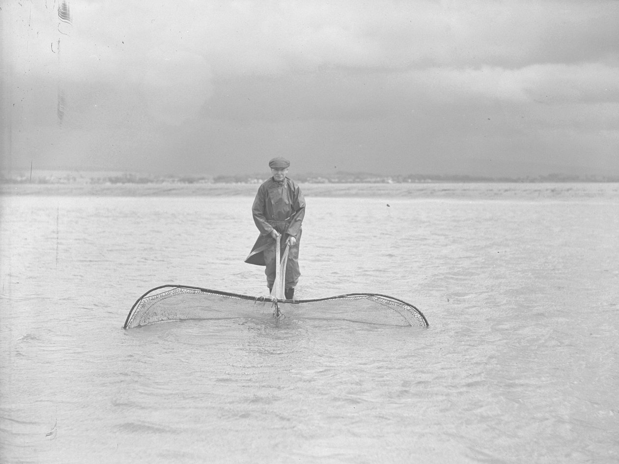 Fisherman Using a Large Net in Shallow Water by Joseph Hardman