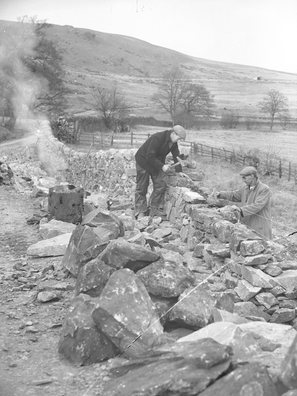 Wallers Working on Dry Stone Wall by Joseph Hardman