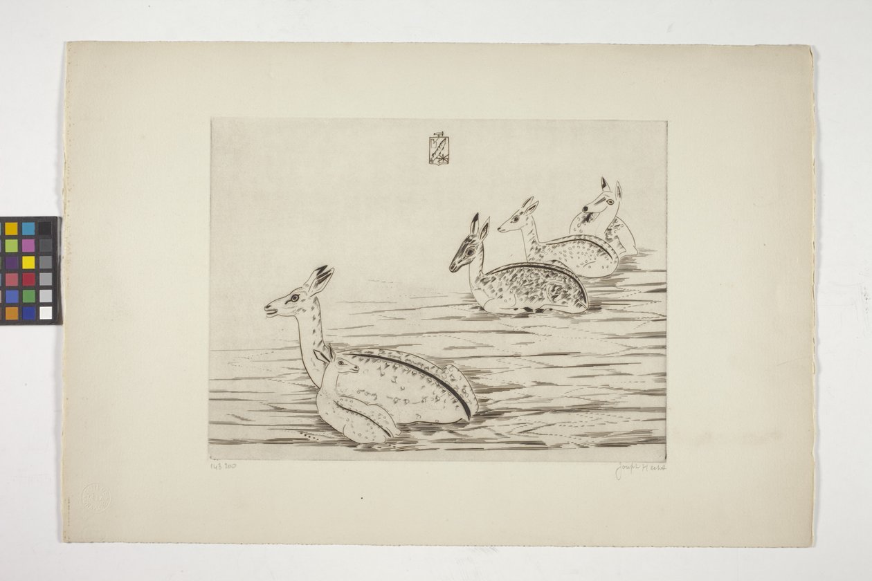 Indochinese Deer I by Joseph Hecht