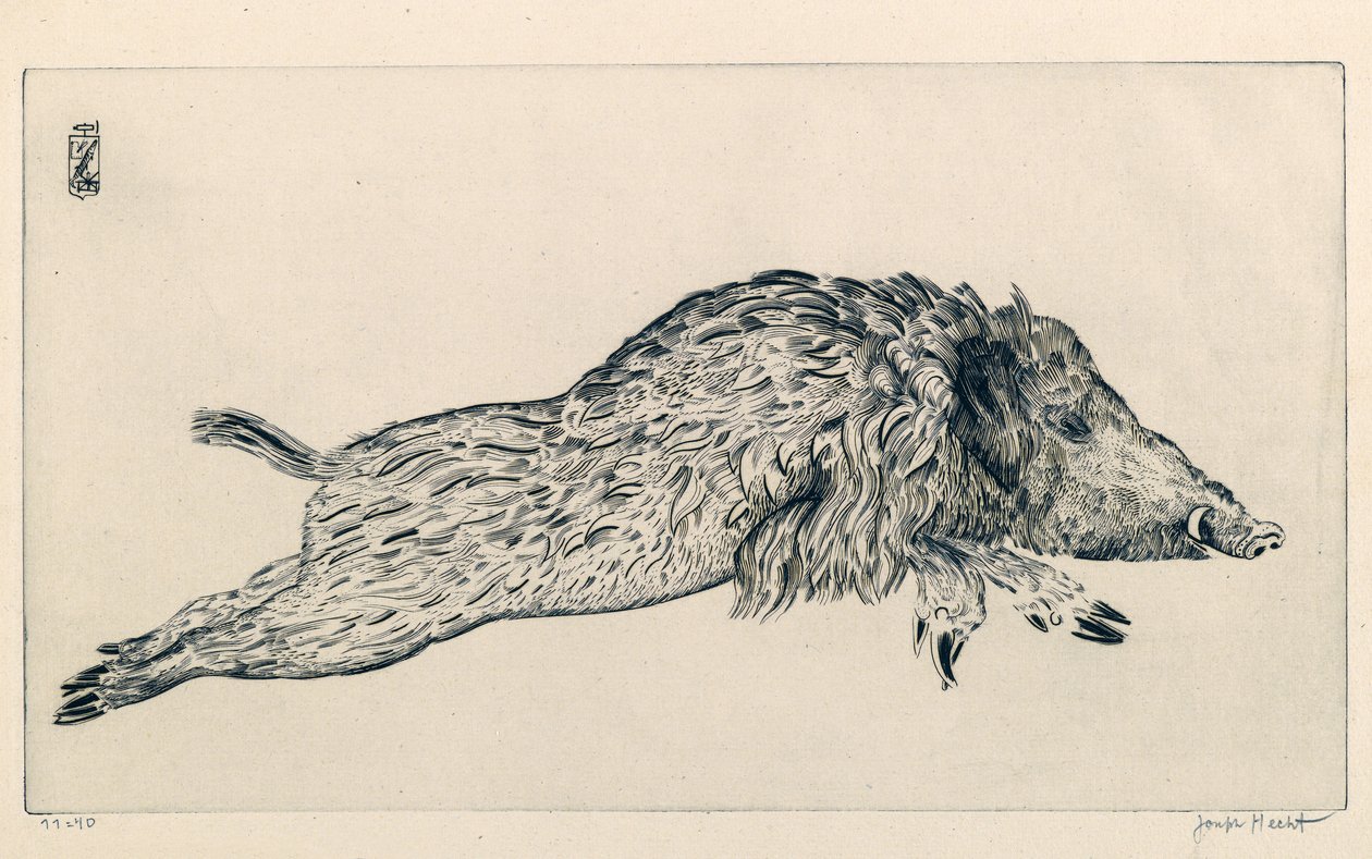 Wild Boar (Le Sanglier) by Joseph Hecht