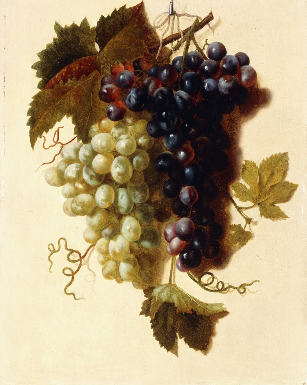 Bunches of Green and Red Grapes suspended from a Rope by Joseph Laurent Malaine