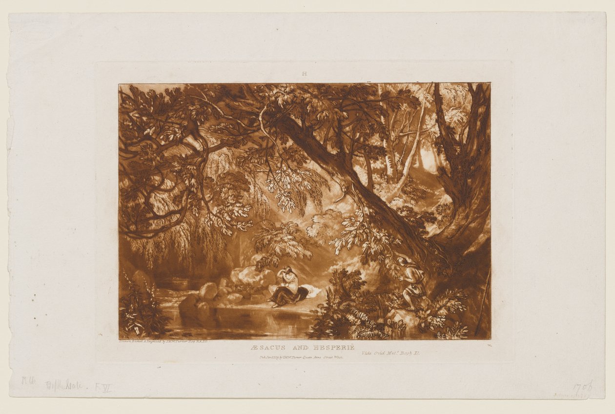 Æsacus and Hesperie by Joseph Mallord William Turner