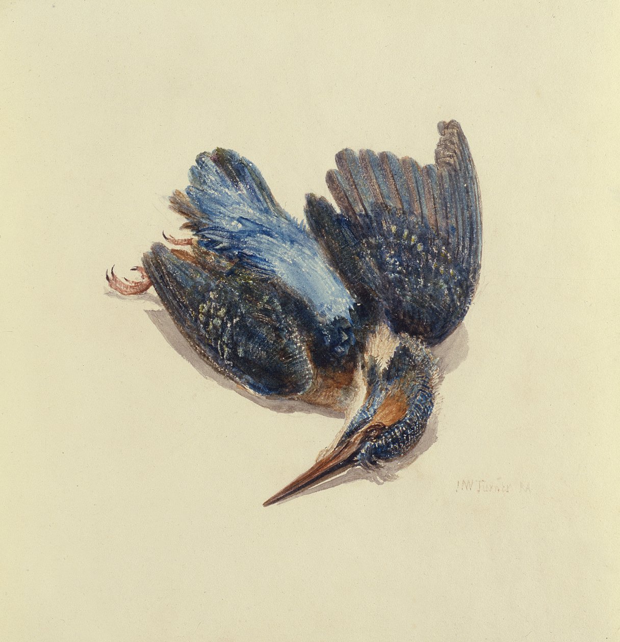 Kingfisher, from The Farnley Book of Birds by Joseph Mallord William Turner