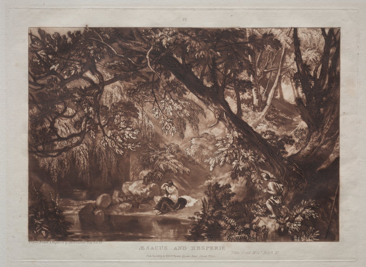 Liber Studiorum: Aesacus and Hesperie by Joseph Mallord William Turner