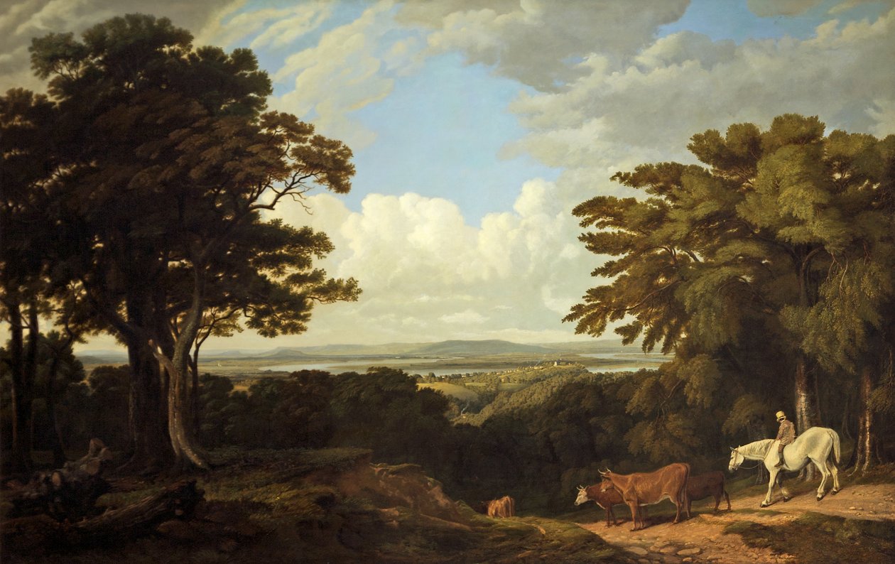 Newnham-on-Severn, Gloucestershire, from Dean Hill by Joseph Mallord William Turner