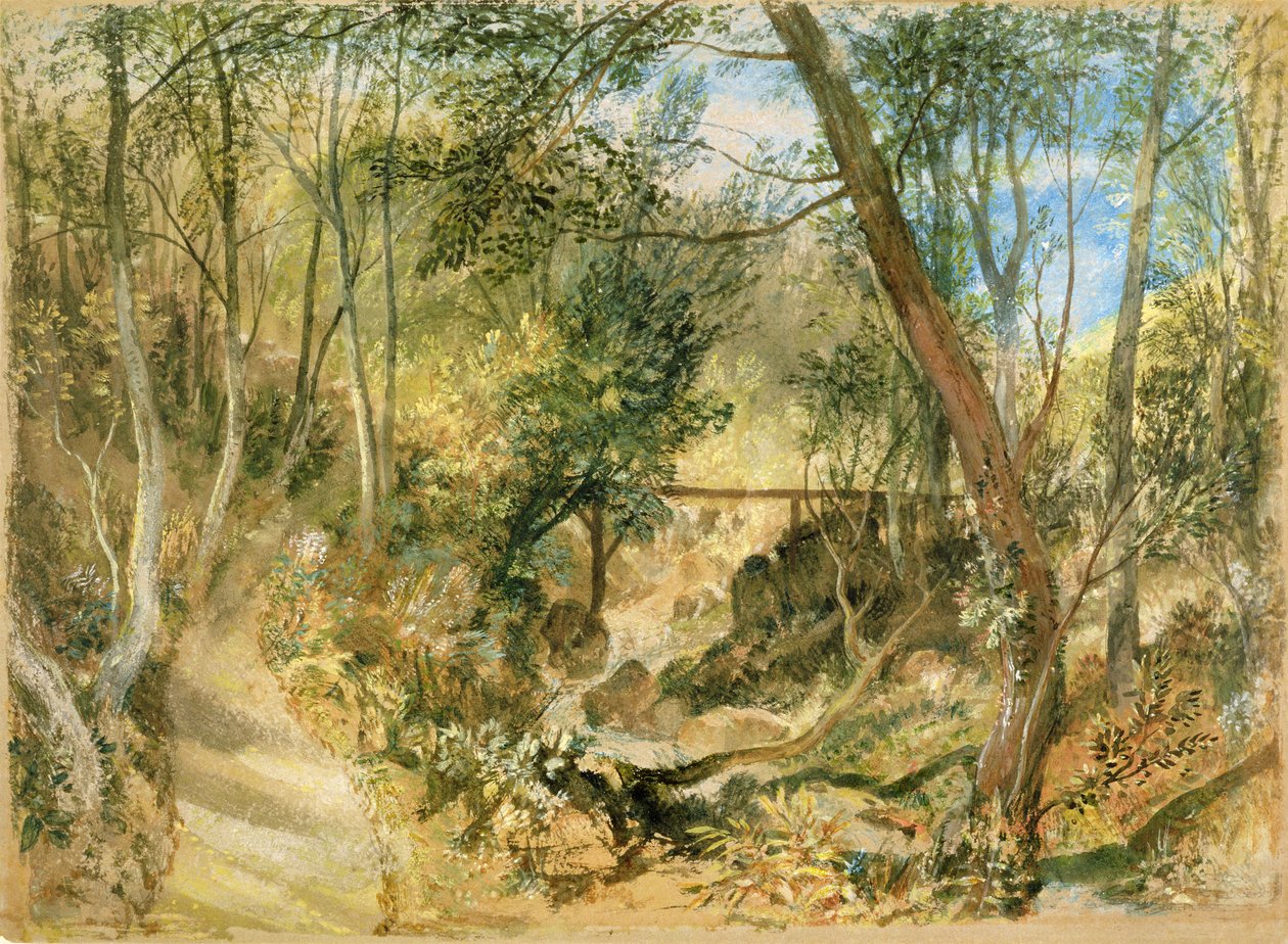The Woodwalk, Farnley Hall by Joseph Mallord William Turner