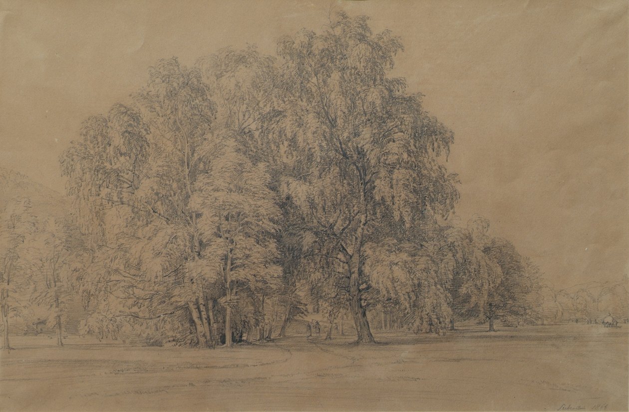 Birch Group in the Park of Seebenstein Castle in Lower Austria by Joseph Martin Höger