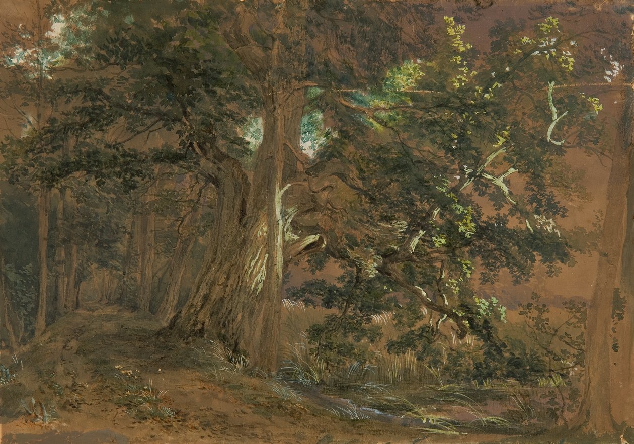 Forest Interior near Lundenburg (Maple Group by a Mountain Lake) by Joseph Martin Höger