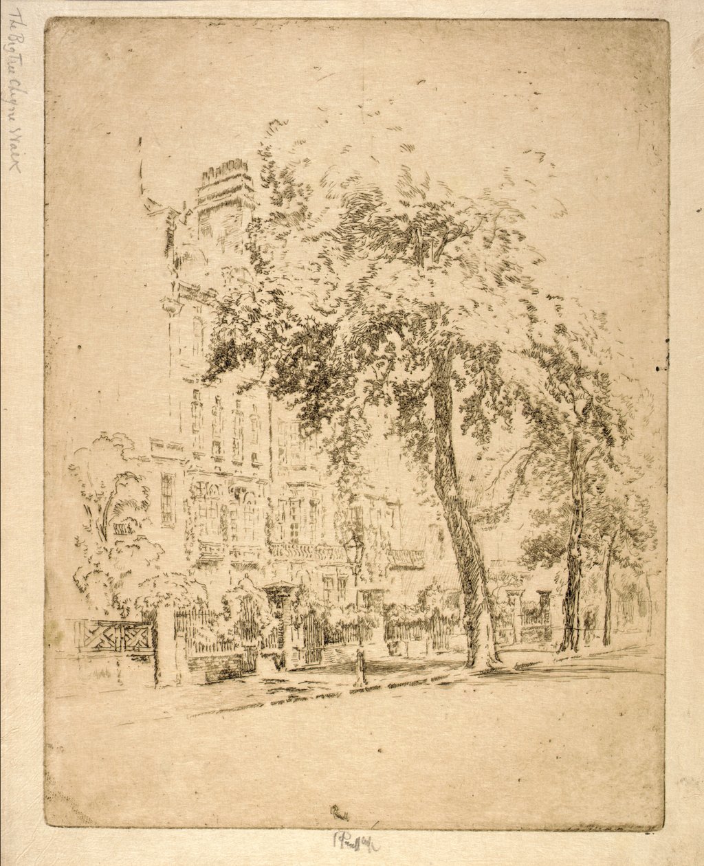 Big Tree - Cheyne Walk by Joseph Pennell