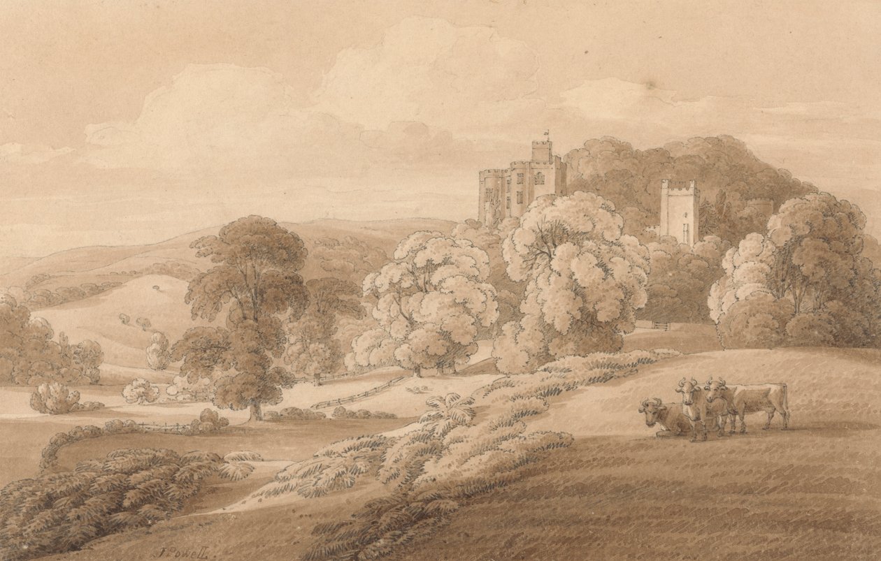Dunster Castle, Somerset by Joseph Powell
