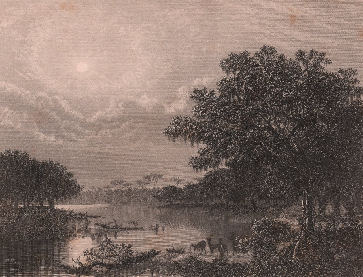 Louisiana Bayou, United States, Steel Engraving by Robert Hinshelwood after Painting by Joseph Rusling Meeker by Joseph Rusling Meeker