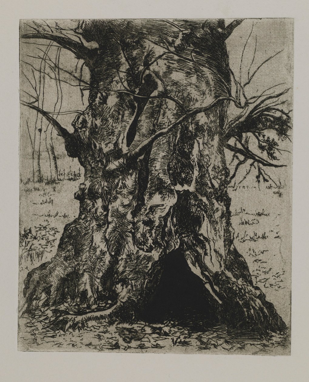 Untitled--Tree Trunk by Joseph Stella