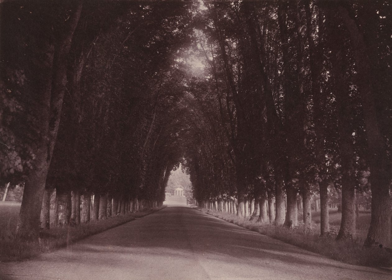 Allée, Château de Grand-Vaux, Savigny-sur-Orge, the Family Home of Vigier, c. 1855 by Joseph Vigier