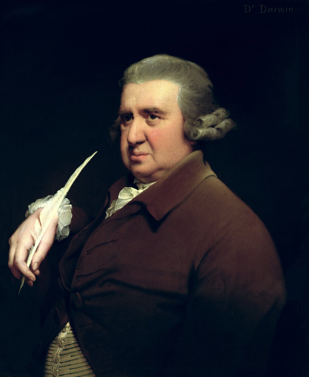 Portrait of Dr Erasmus Darwin, scientist, inventor and poet, grandfather of Charles Darwin by Joseph Wright of Derby