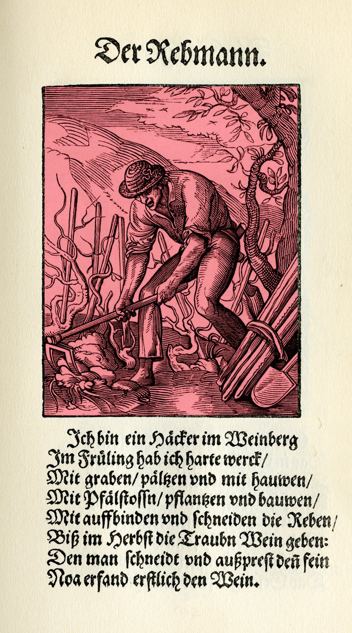 The Winegrower by Jost (after) Amman