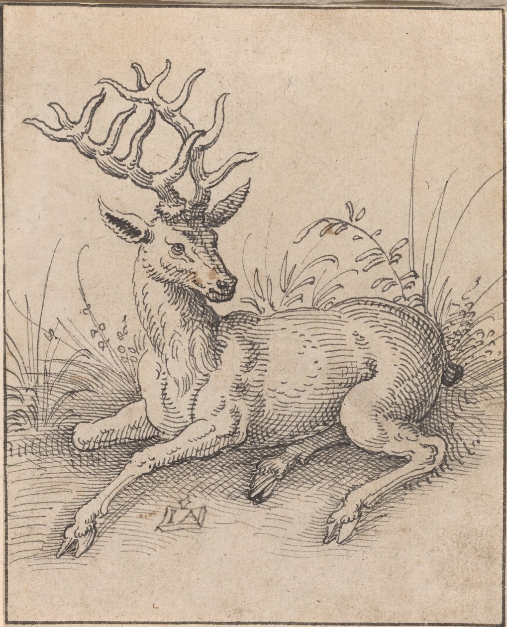 The Stag by Jost Amman