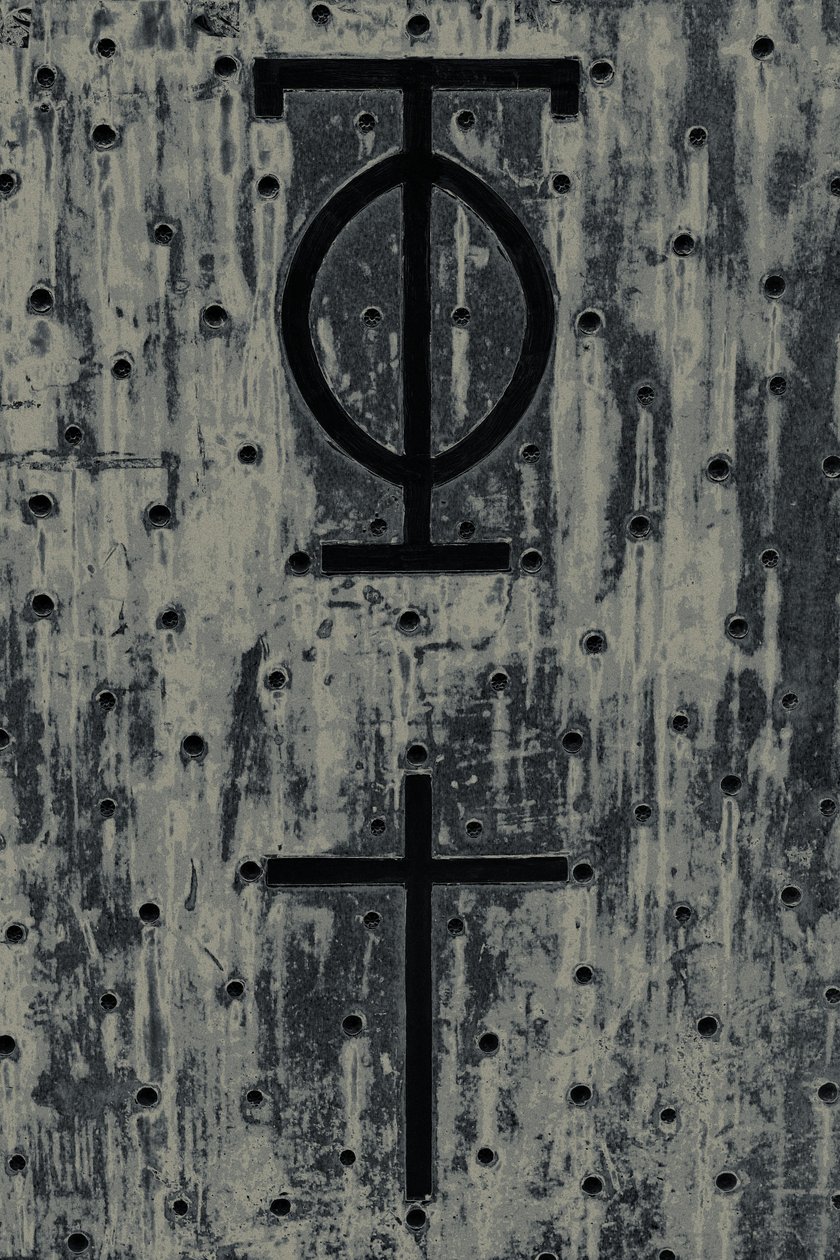 Icons, from the series The Observant by Joy Lions