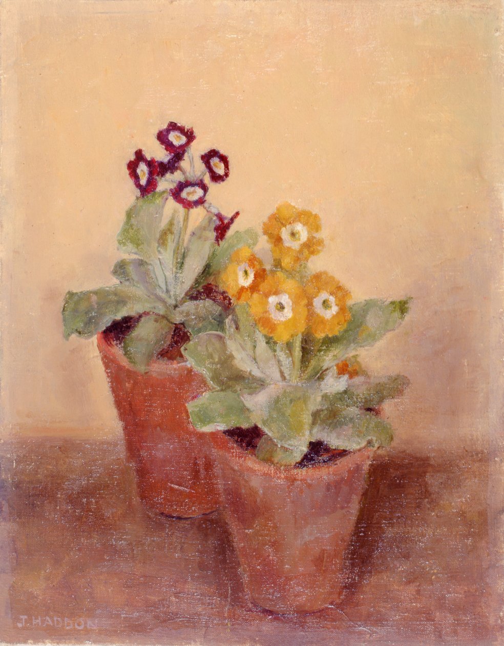 A Pair of Poppies by Joyce Haddon
