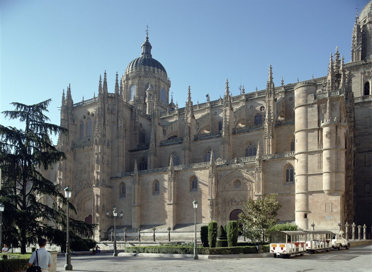 Early morning view of the new cathedral, the north west Facade, begun 1512 by Juan de & Rodrigo Gile de Hontanon