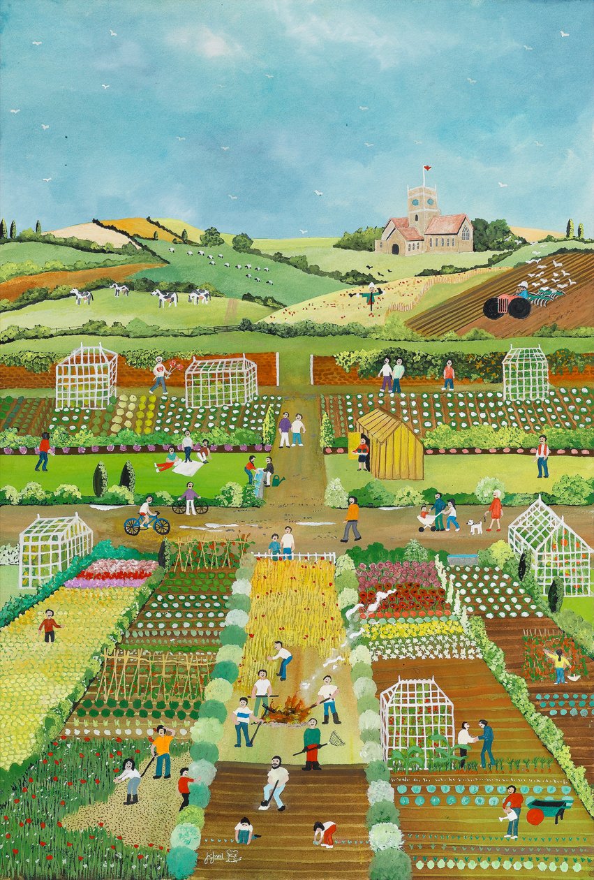 Allotments by Judy Joel