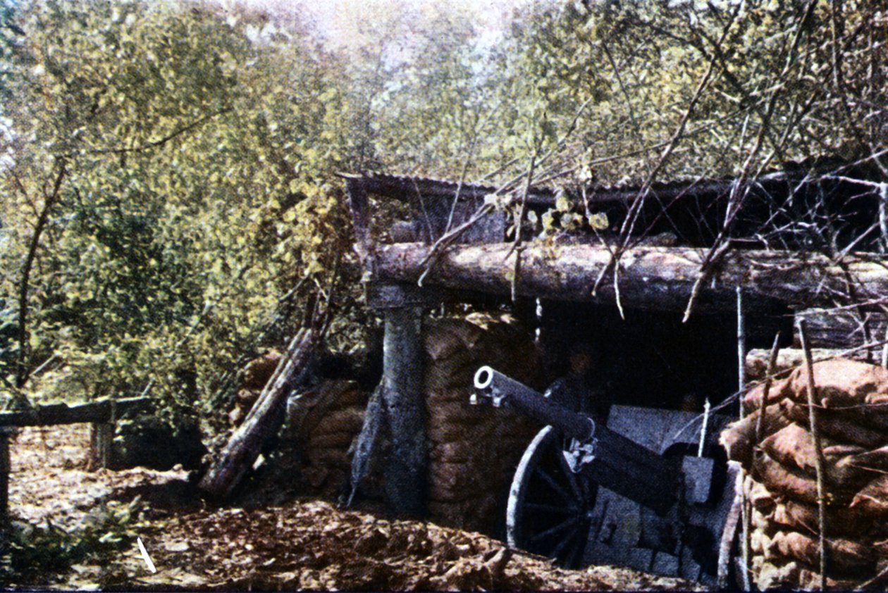 A Camouflaged French 75 mm Gun Under the Trees During the Battle of Verdun by Jules Gervais Courtellemont