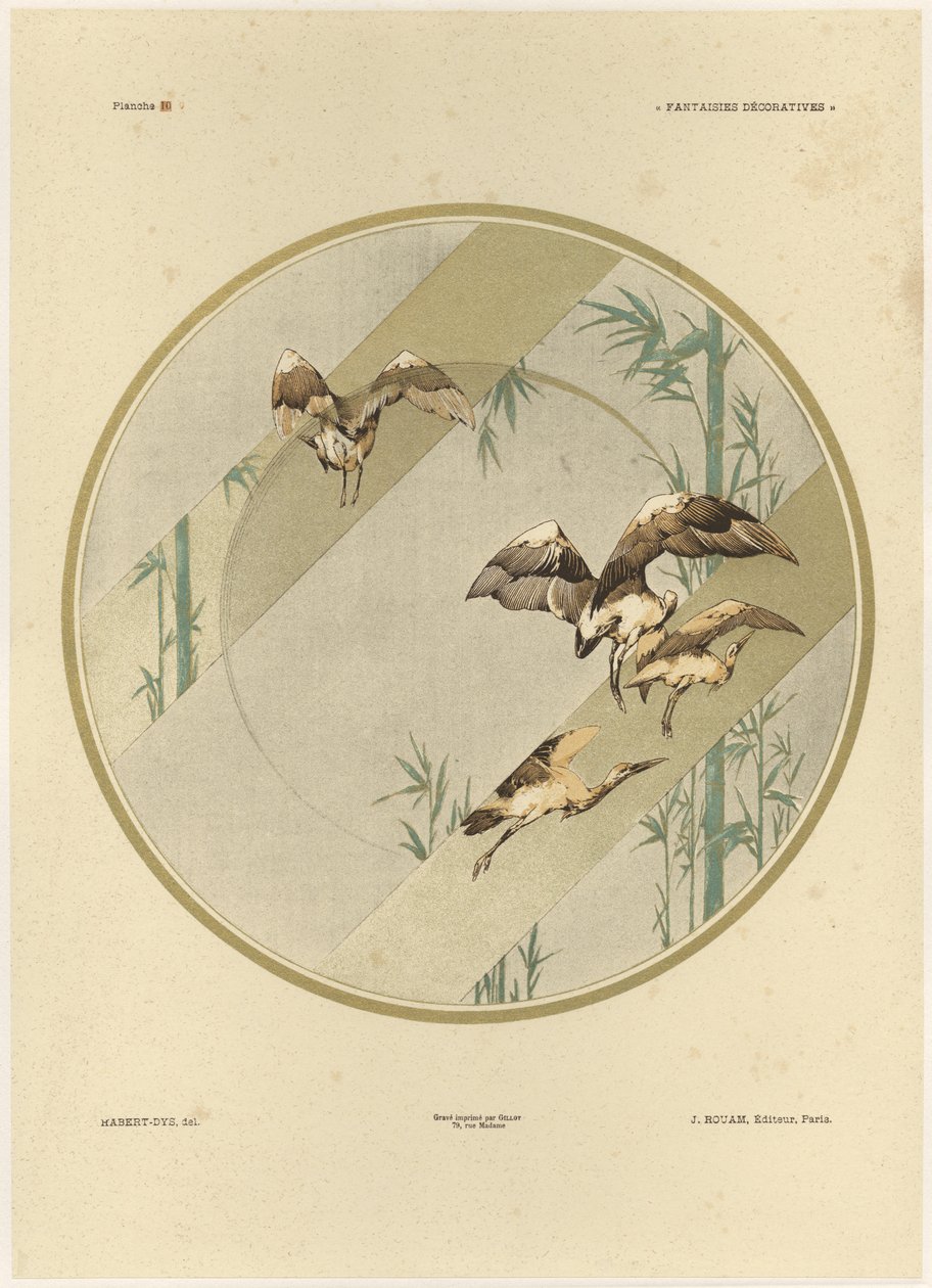 Storks, plate 10 from 