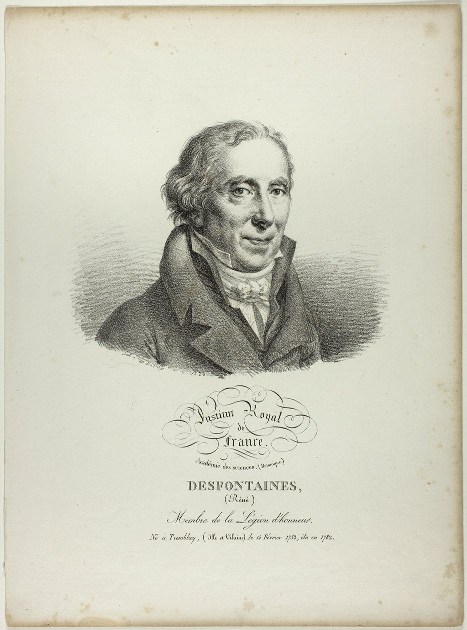 Portrait of René Desfontaines by Jules Boilly