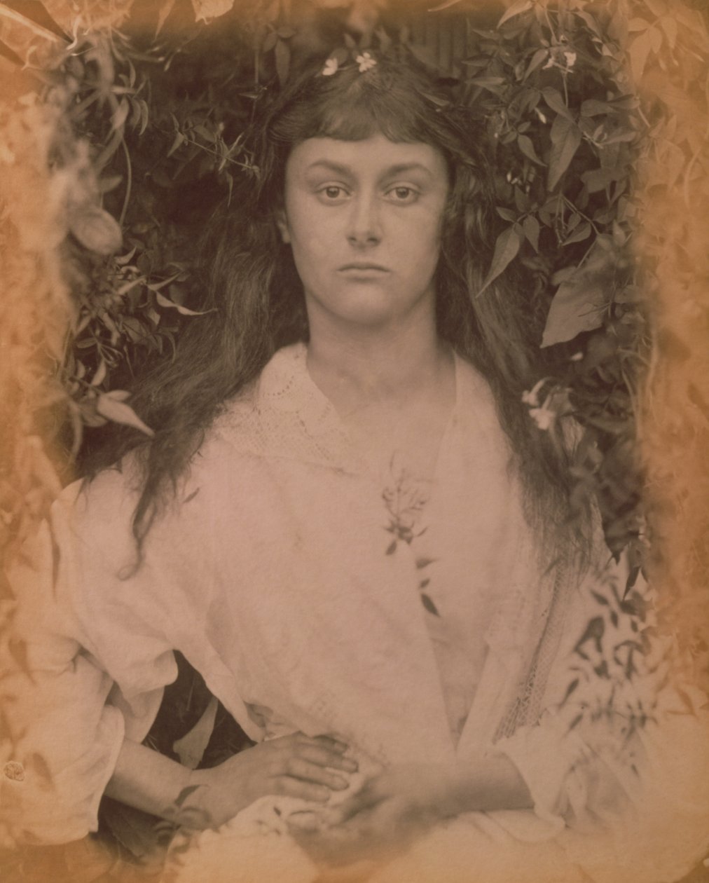 Pomona, 1872 by Julia Margaret Cameron