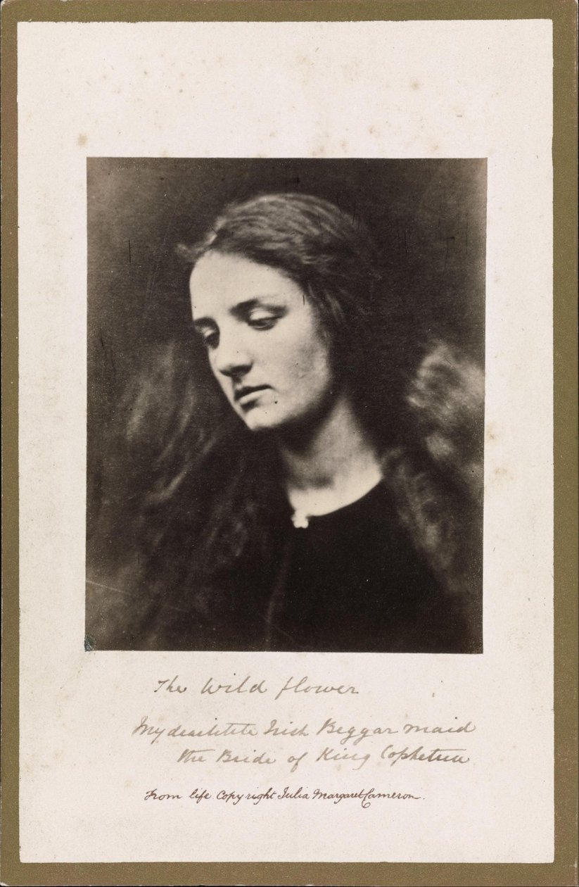 The Wild Flower by Julia Margaret Cameron