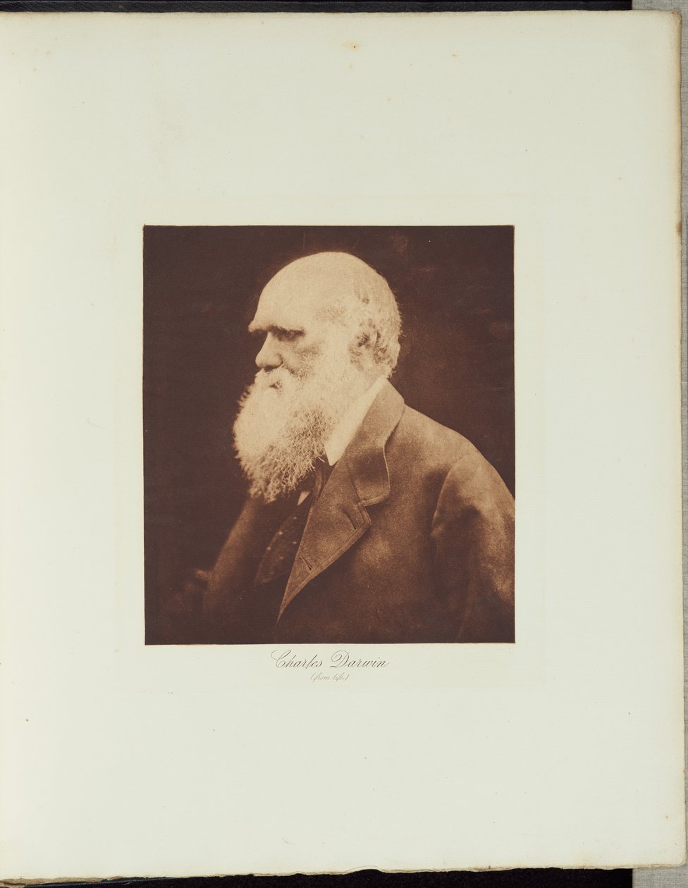 Charles Darwin by Julia Margaret Cameron