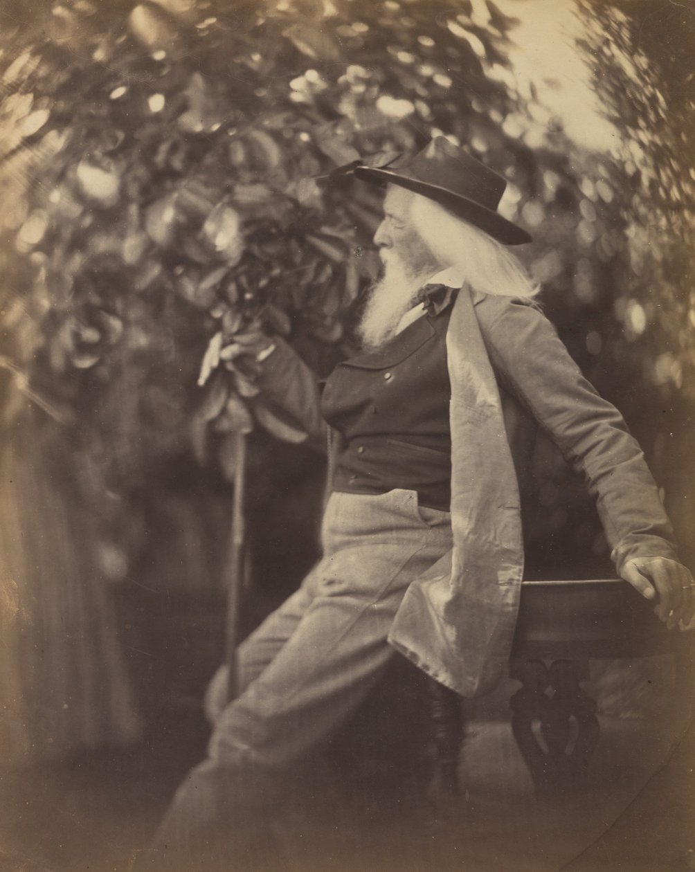 Charles Hay Cameron, Esq., in His Garden at Freshwater, 1865-67 by Julia Margaret Cameron