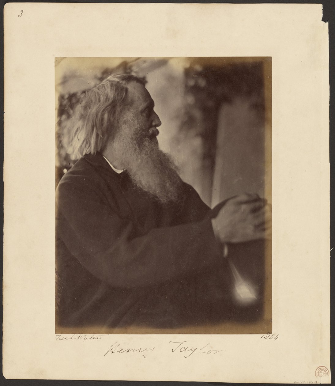 Henry Taylor by Julia Margaret Cameron