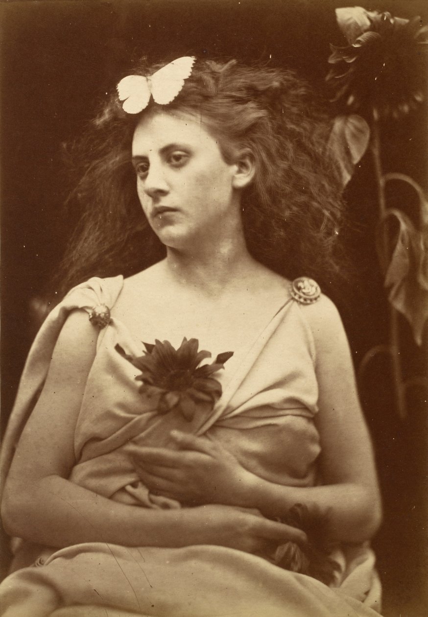The Sunflower, early 1870s by Julia Margaret Cameron