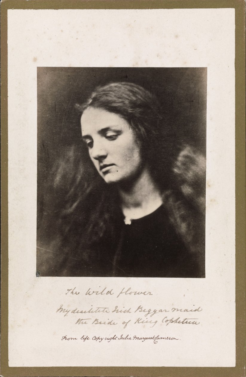 The Wild Flower by Julia Margaret Cameron