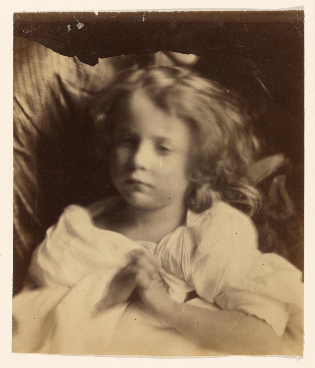 [Willin] by Julia Margaret Cameron