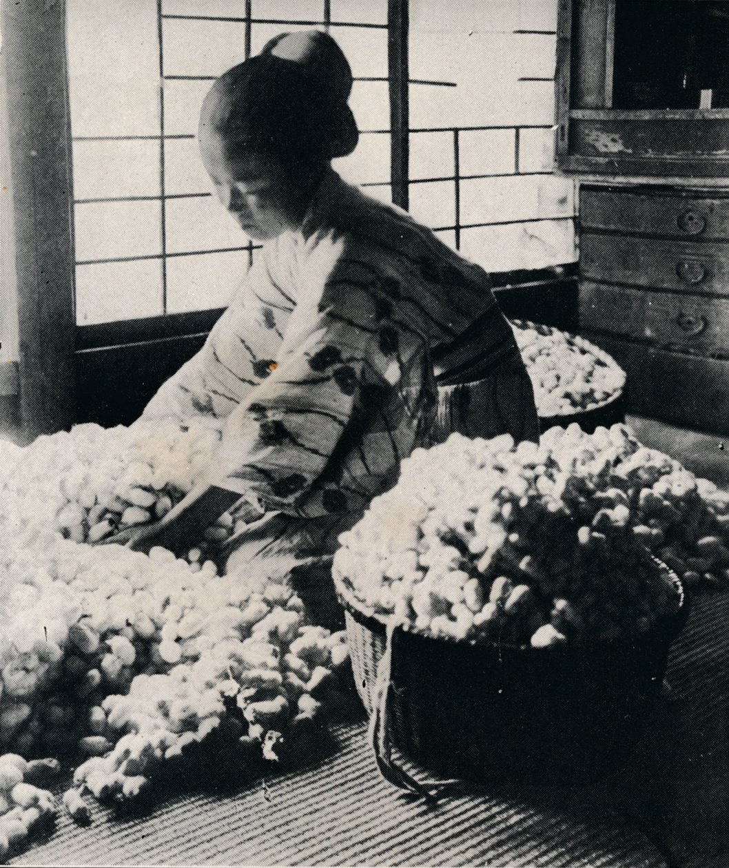 5000 silkworms eat 125 lbs of mulberry for 8 skeins of silk, making one kimono by Julian Leonard Street