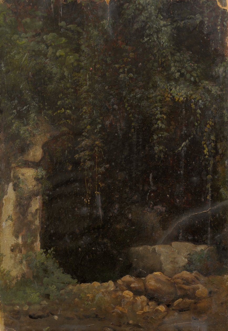 The Source by Julie Wilhelmine Hagen Schwarz
