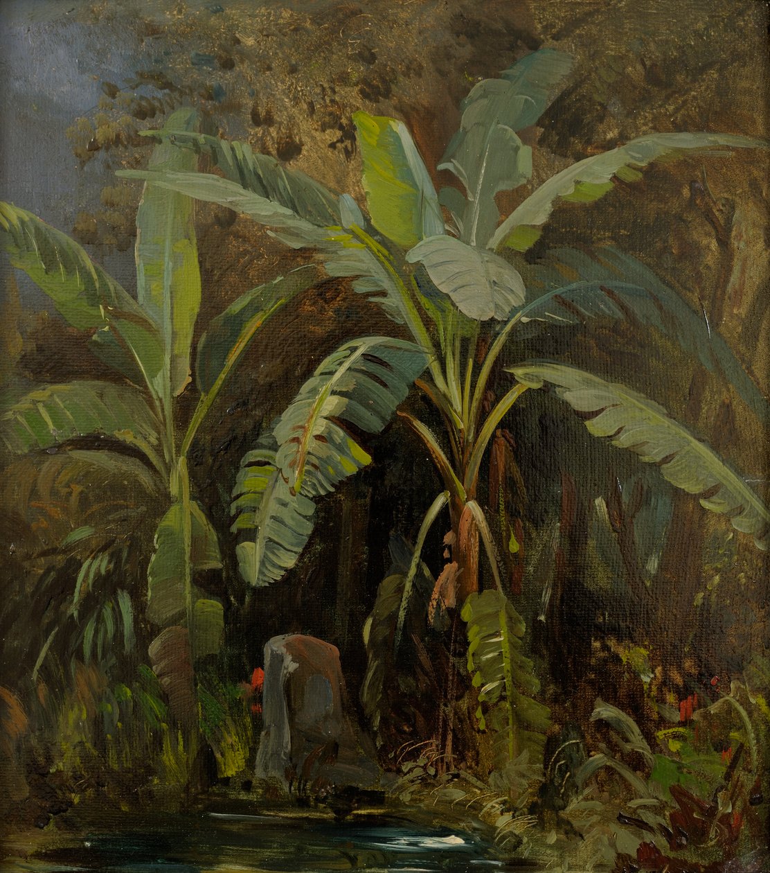 Italian Plants by Julie Wilhelmine Hagen Schwarz
