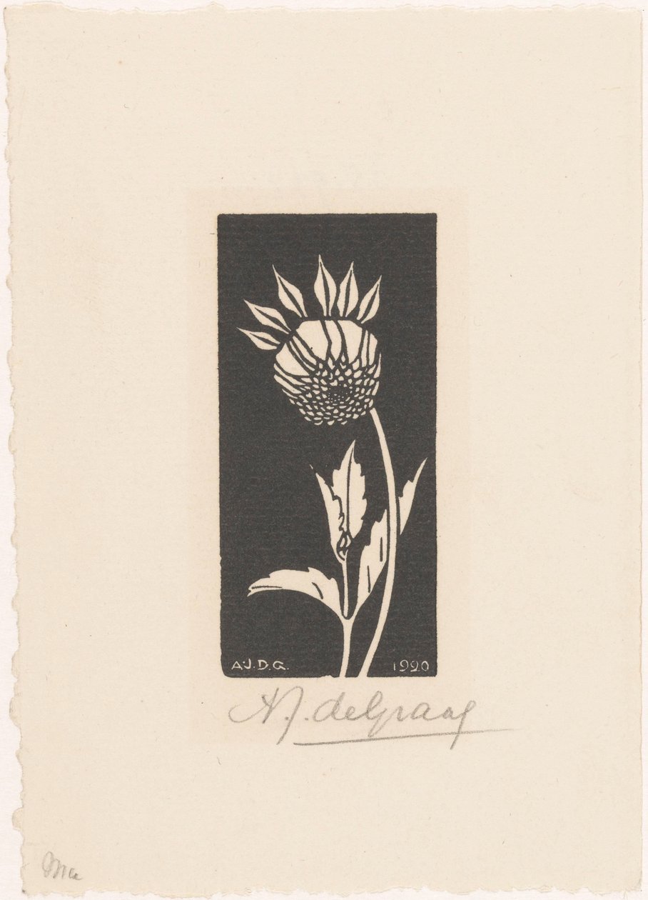 Dahlia by Julie de Graag (signed by artist)