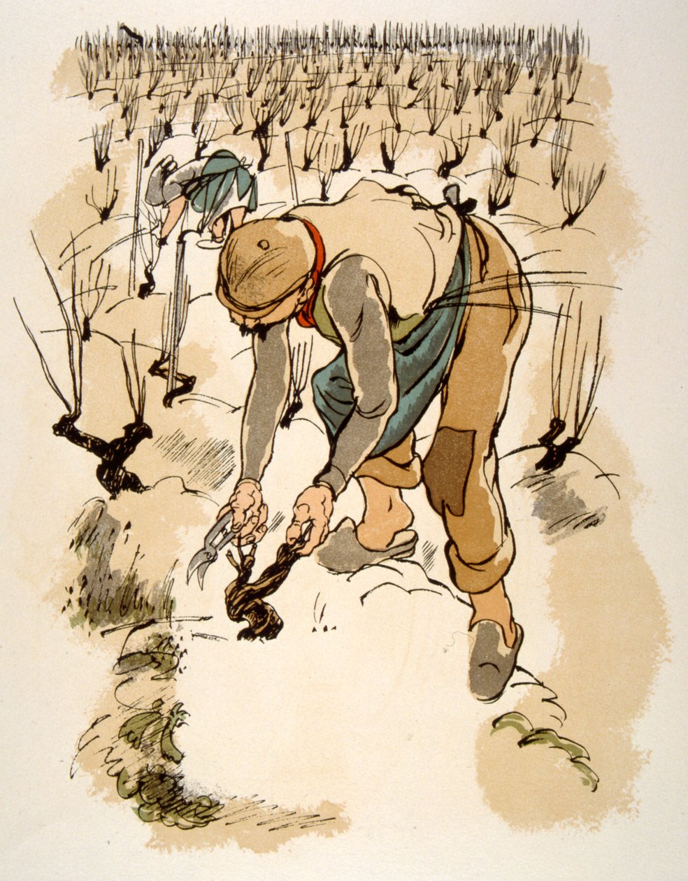 Humorous Wine Illustration 1946 by Julien Pavil