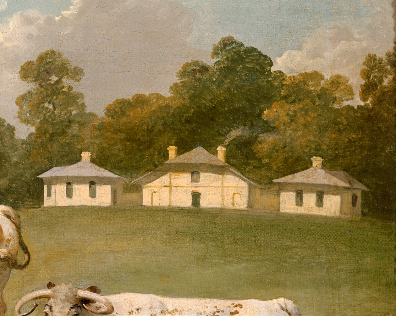 Three Long-Horned Cattle in Landscape (detail) by Julius Caesar Ibbetson
